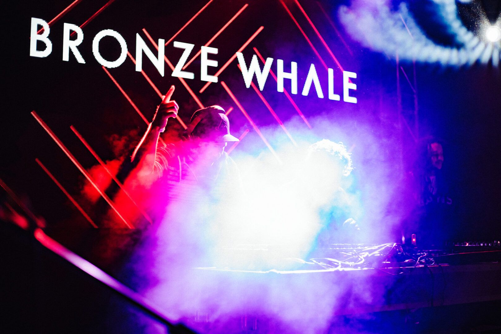 Bronze Whale – TOUR TIPS